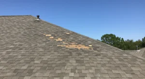 Image of a humidity damaged roof in Southwest Florida