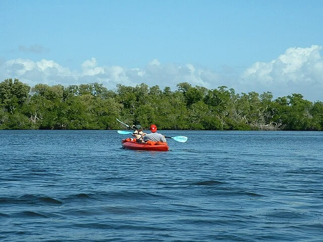 Image of a kayaker enjoying a summer day on Estero Bay.